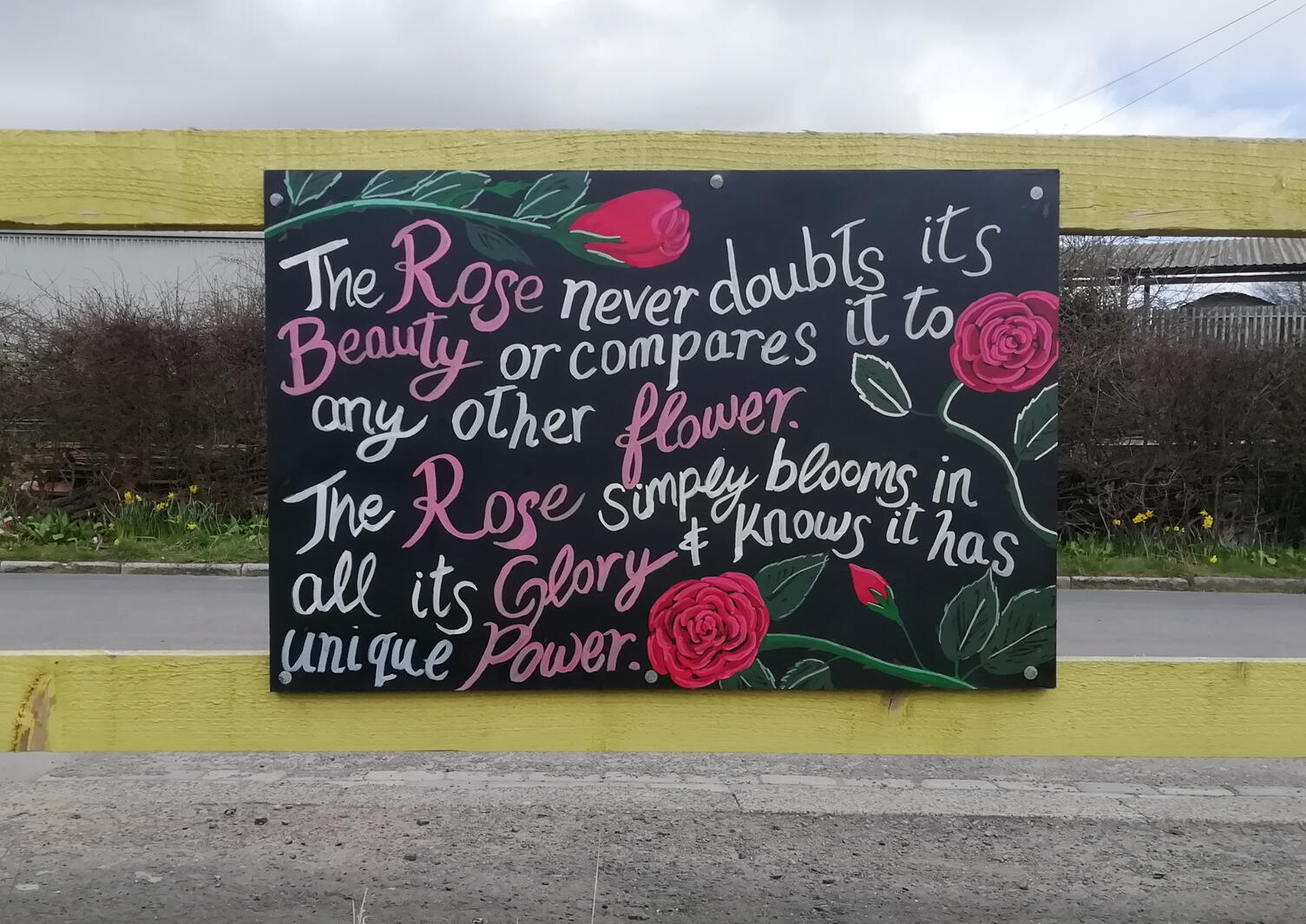 Mural Painting, Signwriting & Spontaneous Artwork